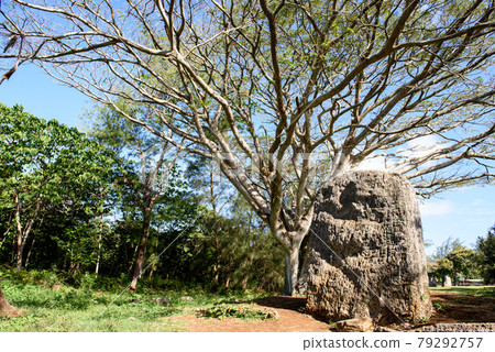 Historic Sites of Tonga 79292757