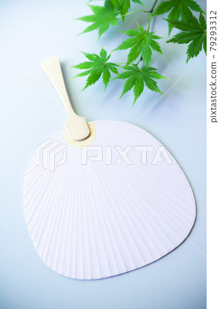 Summer greetings, Uchiwa type book painting Sen and Ao Kaede Summer greetings, Uchiwa type book painting Sen and Ao Kaede 79293312