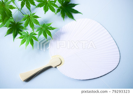 Summer greetings, Uchiwa type book painting Sen and Ao Kaede 79293323