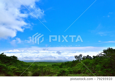 從那須山看到的雲海 79293910