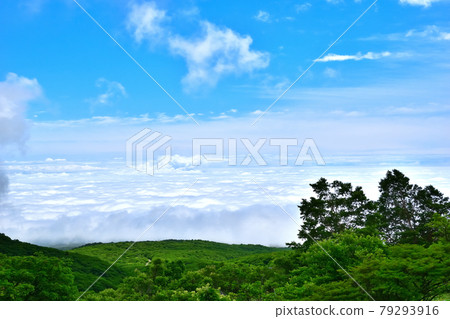 從那須山看到的雲海 從那須山看到的雲海 79293916
