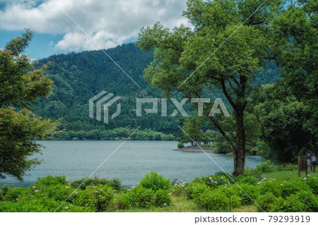 滋賀縣長濱市約後湖初夏的景色。 滋賀縣長濱市約後湖初夏的景色。 79293919