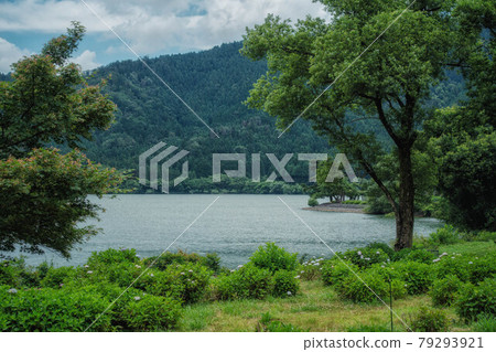 It is the scenery of early summer of Lake Yogo in Nagahama City, Shiga Prefecture. 79293921