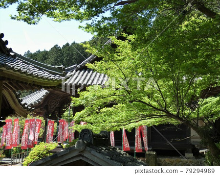 從通往沙波大壩的道路上眺望關巖寺的正殿(c) 從通往沙波大壩的道路上眺望關巖寺的正殿(c) 79294989