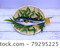 Shimafugu caught in the Seto Inland Sea 79295225