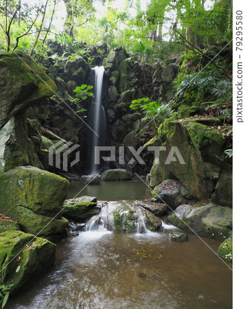成田山公園瀑布（Yuhi Waterfall） 79295580