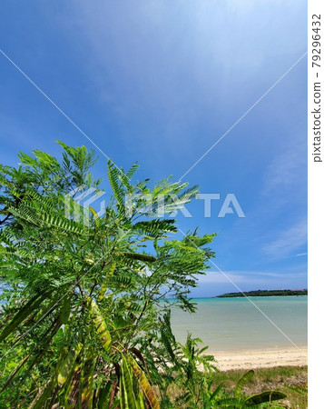 Okinawa Ishigaki Island Shiraho Beach, summer scenery Okinawa Ishigaki Island Shiraho Beach, summer scenery 79296432