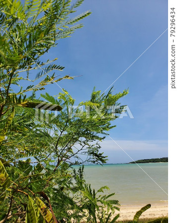 Okinawa Ishigaki Island Shiraho Beach, summer scenery Okinawa Ishigaki Island Shiraho Beach, summer scenery 79296434