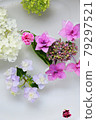 News from summer flowers floating on the water 79297521