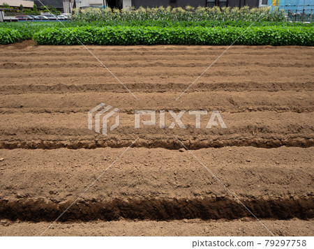 Agricultural land in a residential area 79297758