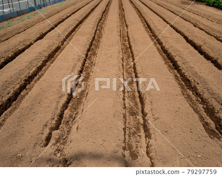 Agricultural land in a residential area 79297759