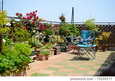 在藍天下盛開的屋頂陽台外的客廳裡度過一個美好的假期 79299577