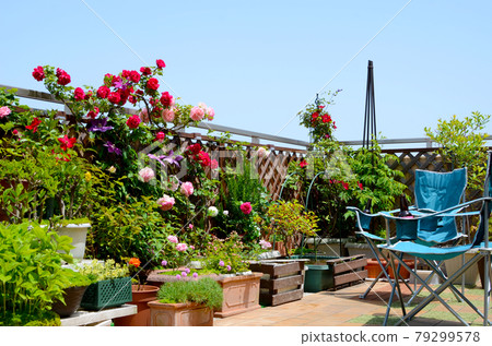 在藍天下盛開的屋頂陽台外的客廳裡度過一個美好的假期 79299578