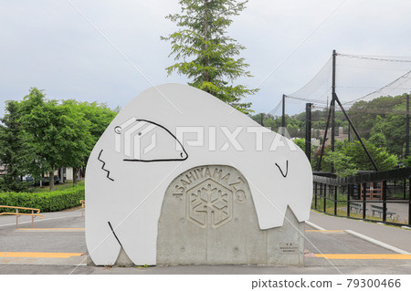 [北海道旭川市]旭山動物園/花園 79300466