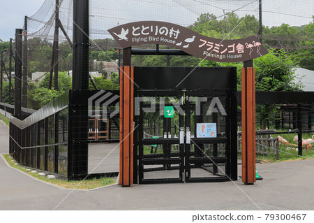 [Asahikawa City, Hokkaido] Asahiyama Zoo, Totori Village and Flamingo House 79300467