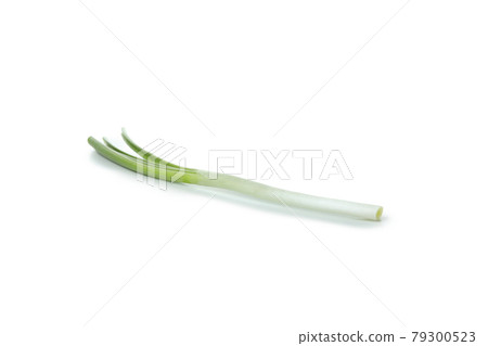 Fresh green onion isolated on white background Fresh green onion isolated on white background 79300523
