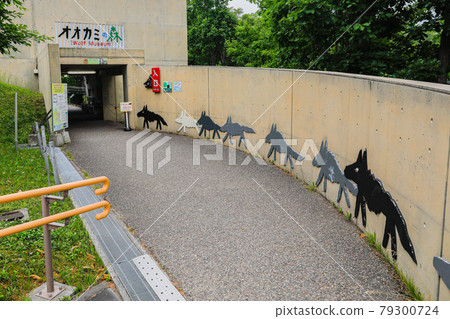 [Asahikawa City, Hokkaido] Asahiyama Zoo / Wolf Forest 79300724