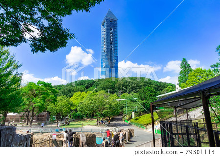 東山動物園、高聳的東山天空塔<愛知縣名古屋市> 79301113