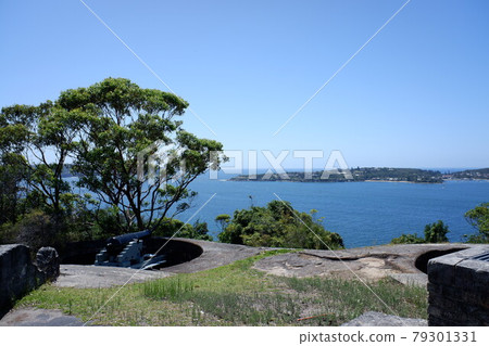 Superb view of Sydney Harbor from Gunner's Barracks for the best afternoon tea in Sydney 79301331