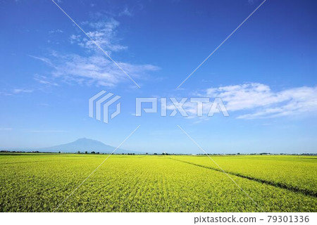 Tsugaru Plain and Mt. Iwaki in Autumn 79301336