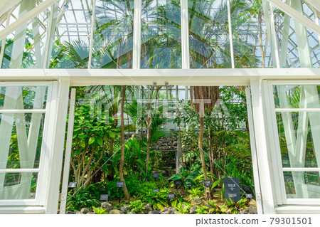 Japan's oldest public greenhouse in Higashiyama Botanical Garden, Greenhouse Front Building <Nagoya City, Aichi Prefecture> Japan's oldest public greenhouse in Higashiyama Botanical Garden, Greenhouse Front Building <Nagoya City, Aichi Prefecture> 79301501