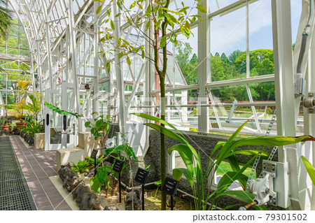Japan's oldest public greenhouse in Higashiyama Botanical Garden, Greenhouse Front Building <Nagoya City, Aichi Prefecture> 79301502
