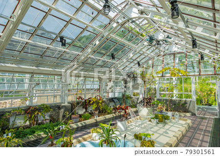 Japan's oldest public greenhouse in Higashiyama Botanical Garden, Greenhouse Front Building <Nagoya City, Aichi Prefecture> Japan's oldest public greenhouse in Higashiyama Botanical Garden, Greenhouse Front Building <Nagoya City, Aichi Prefecture> 79301561