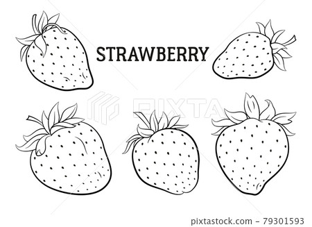 Strawberry Berries Contours Strawberry Berries Contours 79301593