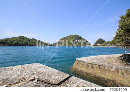 Triangle West Port 79301699