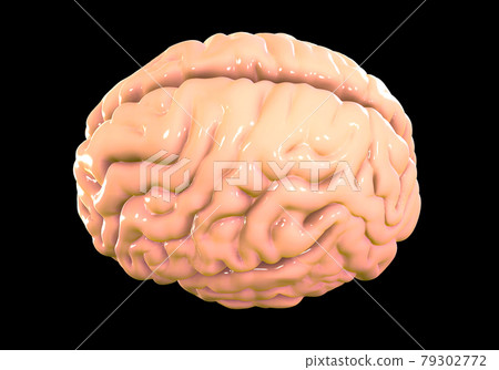 Medical Medical 79302772