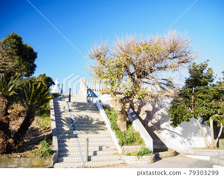 Jogashima(冬季) Jogashima(冬季) 79303299