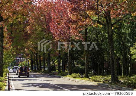 美國福街金澤市秋葉景點 美國福街金澤市秋葉景點 79303599