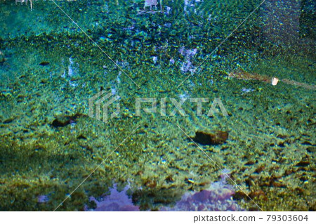 Beppu Bentenkei 79303604