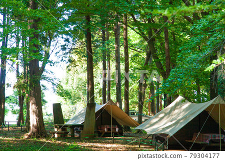 A tent at a campsite in the forest 79304177