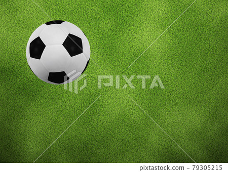 3D Soccer ball on grass 79305215