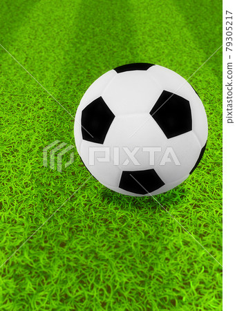 3D Soccer ball on grass 79305217