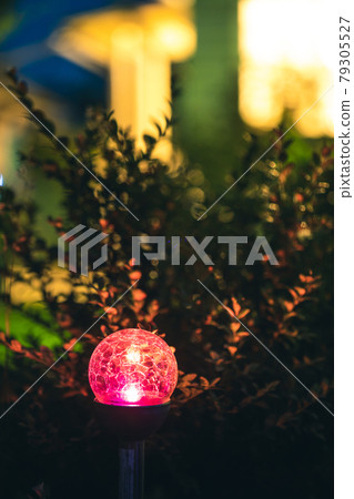 Night View Of Flowerbed Illuminated By Energy-Saving Solar Powered Colorful Multi-colored Lantern On Yard. Beautiful Small Garden With Red Light, Lamp In Flower Bed. Garden Design Night View Of Flowerbed Illuminated By Energy-Saving Solar Powered Colorful Multi-colored Lantern On Yard. Beautiful Small Garden With Red Light, Lamp In Flower Bed. Garden Design 79305527