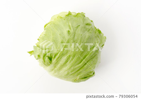lettuce lettuce 79306054