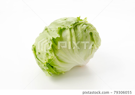 lettuce lettuce 79306055
