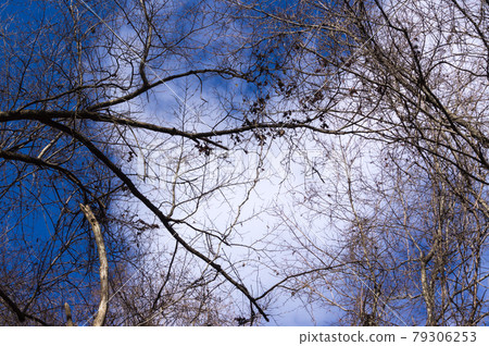 京都府京都市左京區鞍馬市鞍馬山的冬季天空 79306253