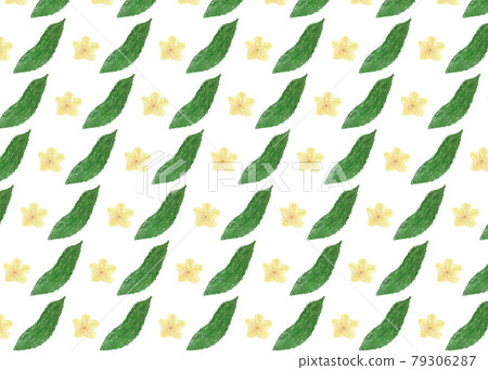 Flowers of goya and goya 79306287