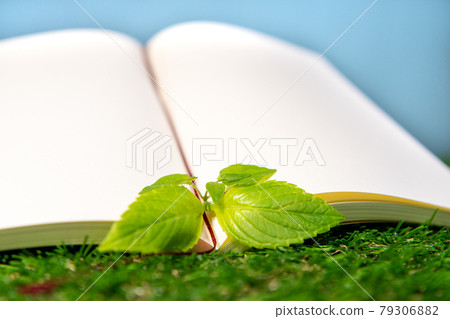 Learn about the environment Learn about the environment 79306882