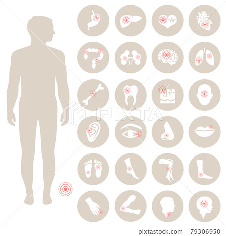 human anatomy, body pain human anatomy, body pain 79306950