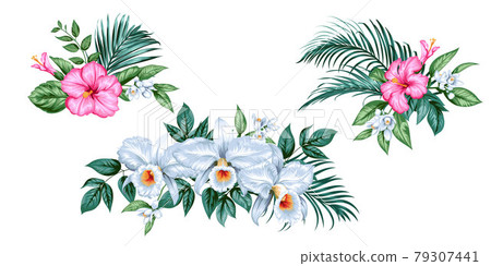Set of tropical bunches with orchids, hibiscus flowers and palm leaves 79307441