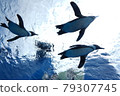 3 flying penguins 79307745