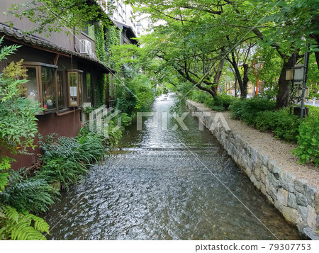 從交通橋（京都）看初夏的高瀨川 79307753