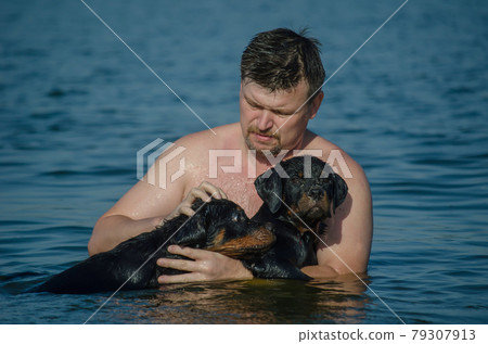 A man with two young dogs swimming in the sea. 79307913