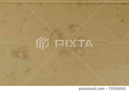 Dog footprint on cardboard. 79308042