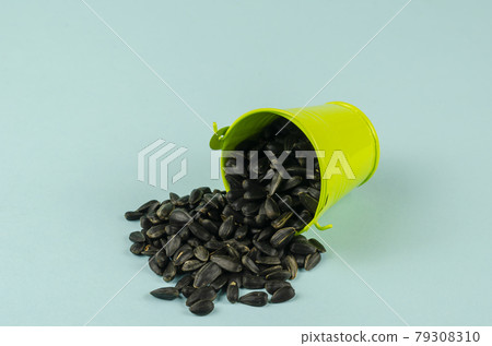 Roasted sunflower seeds and a bucket on a blue background. 79308310