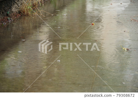 Raindrops that start to drop in the rain during the rainy season Raindrops that start to drop in the rain during the rainy season 79308672